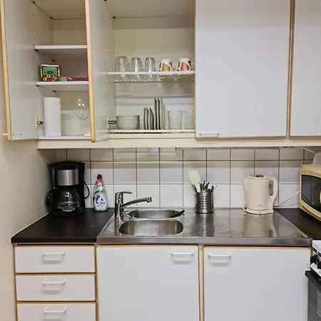Apartamento Basic Family Studio Near The Church Savonlinna